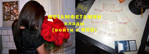 ПСИЛОЦИБИНОВЫЕ ГРИБЫ Инсар