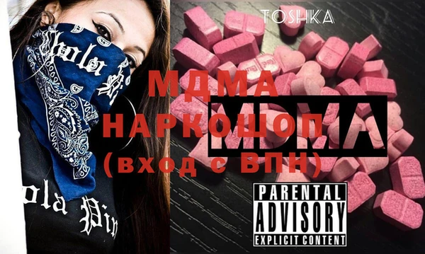 гашик Каменка