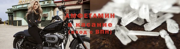 ПСИЛОЦИБИНОВЫЕ ГРИБЫ Инсар