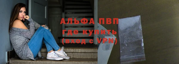 ПСИЛОЦИБИНОВЫЕ ГРИБЫ Инсар