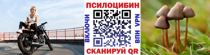 Галлюциногенные грибы GOLDEN TEACHER Купить закладки Жиздра