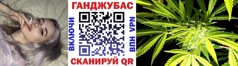Купить закладки  Жиздра  МАРИХУАНА SATIVA & INDICA 
